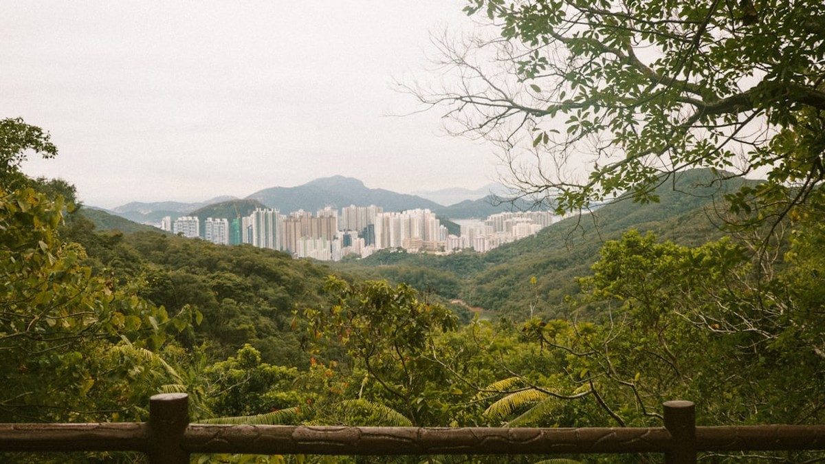 City view near Cathedral College Wangaratta