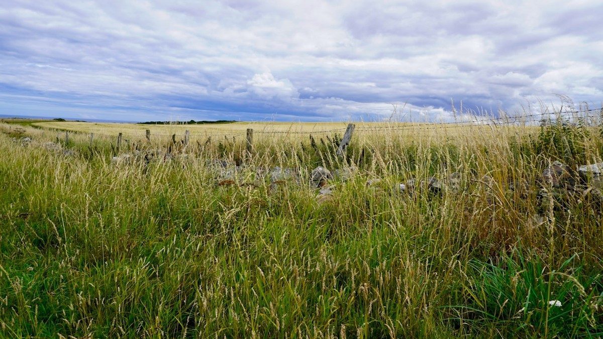 City view near James Cook University Centre for Rural and Remote Health