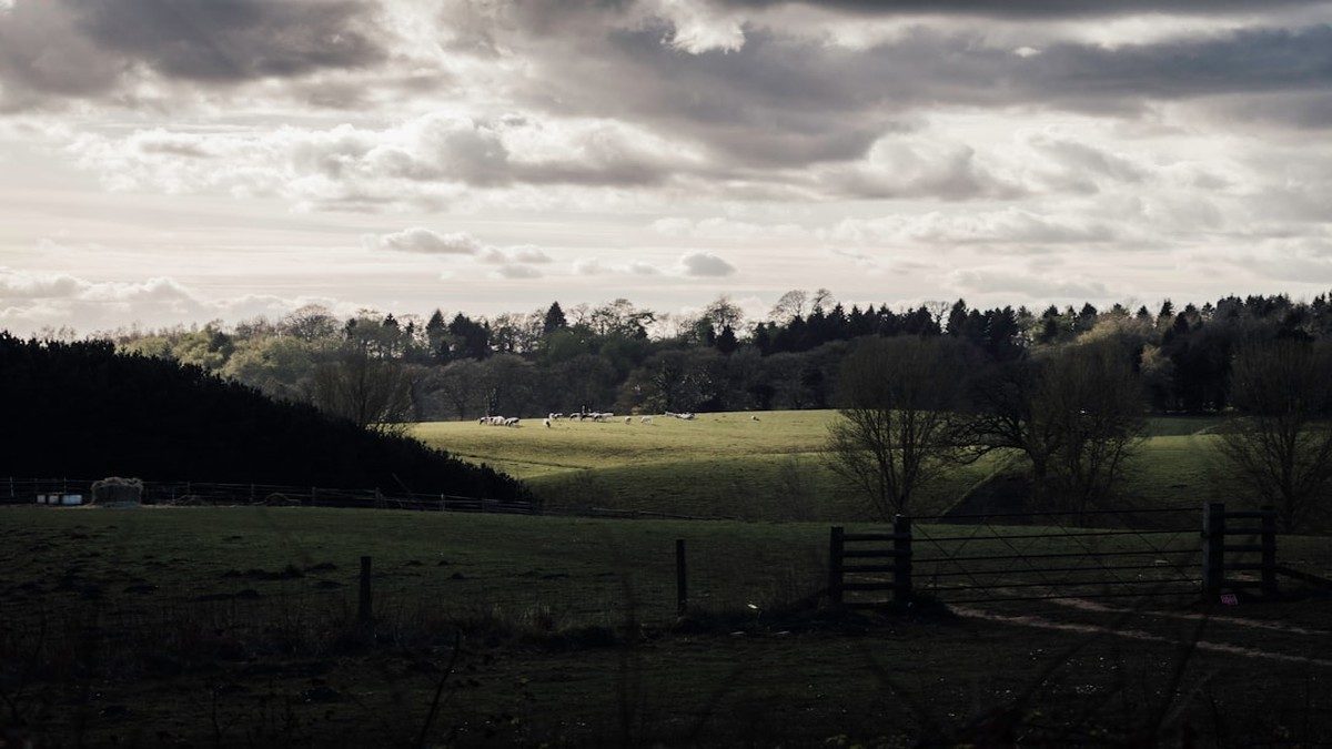 City view near The University of Manchester